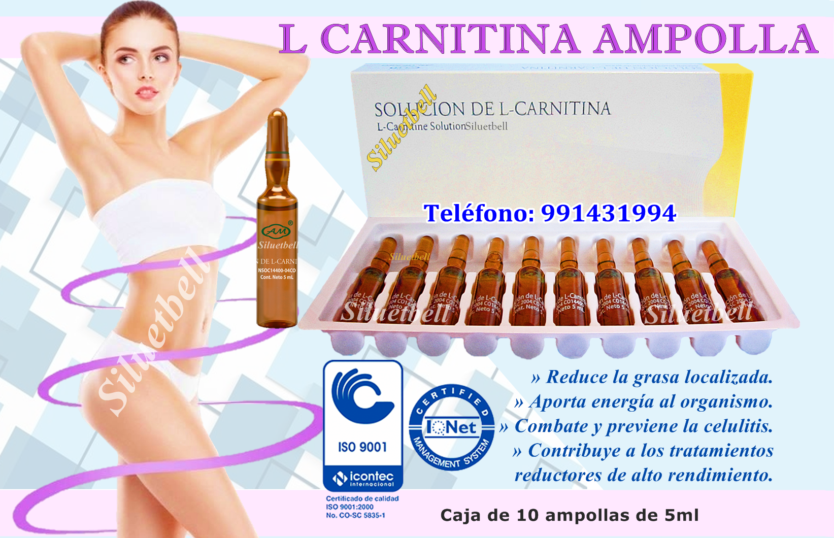 L CARNITINA AMPOLLAS ARMESSO 